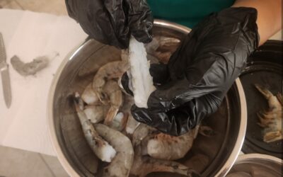 Shrimp: A Love Story from Chefette Alissa